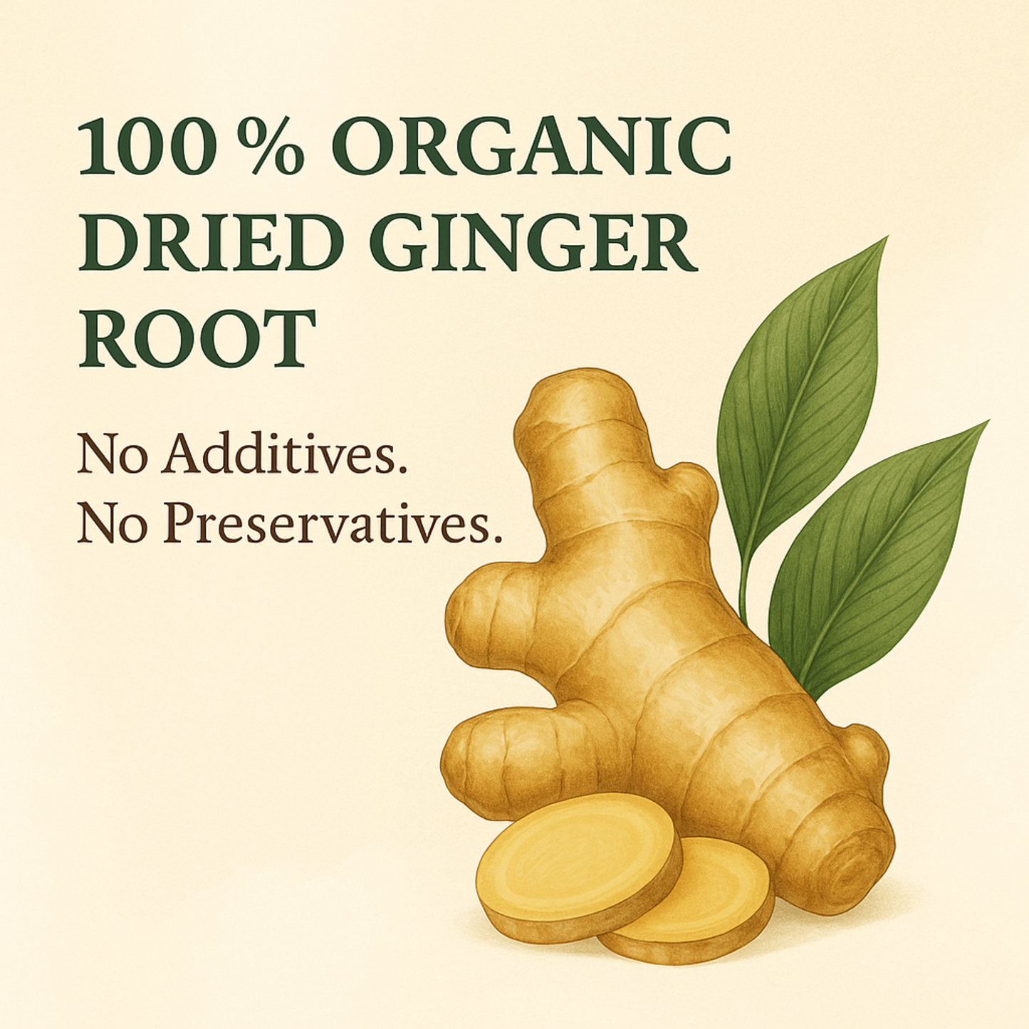 For Vitality® Organic Ginger Tea Bags (100 Count | 7 oz | 200g)