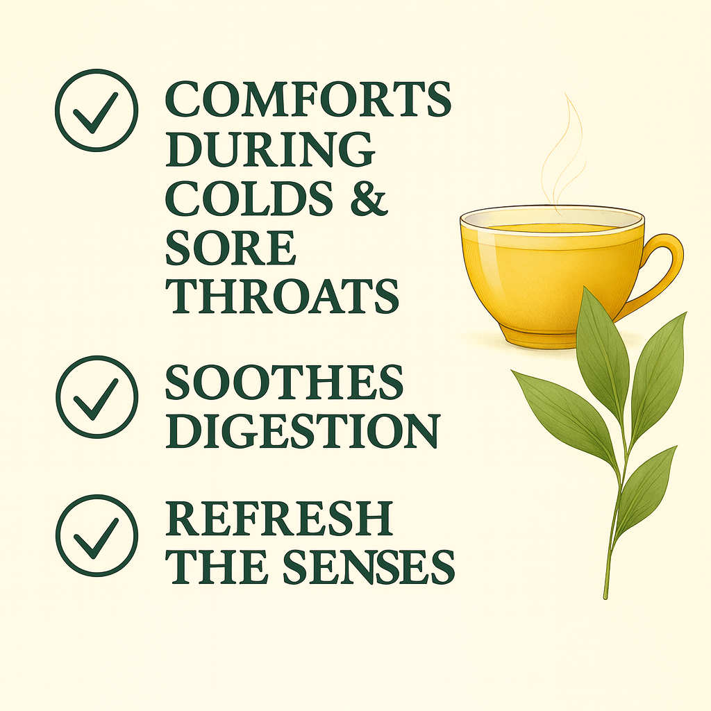 For Vitality® Organic Spearmint Tea Bags (100 Count | 8 oz | 226g)