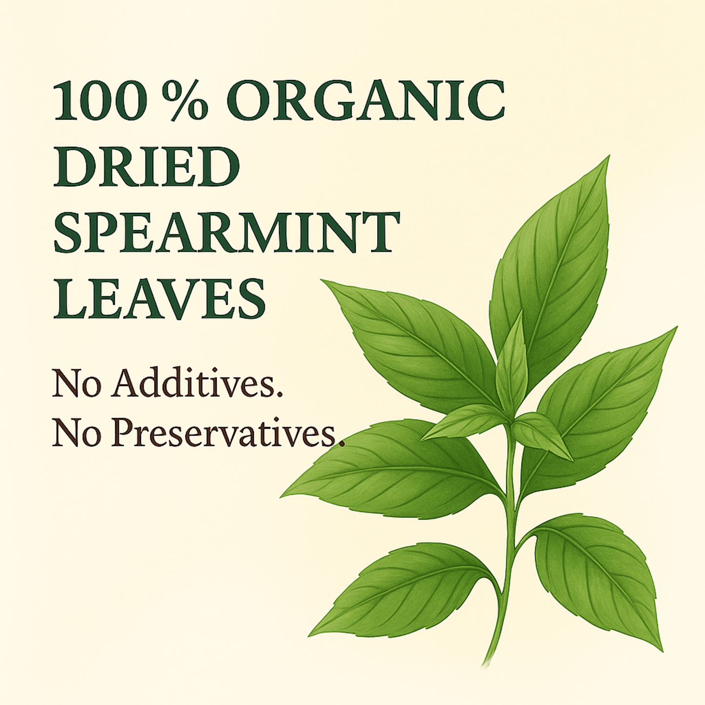 For Vitality® Organic Spearmint Tea Bags (100 Count | 8 oz | 226g)