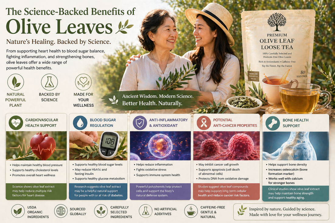 The Science-Backed Health Benefits of Olive Leaves