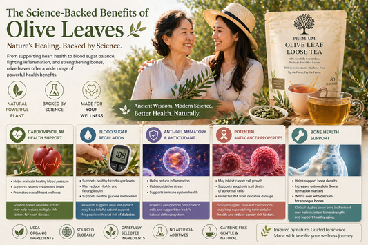 The Science-Backed Health Benefits of Olive Leaves