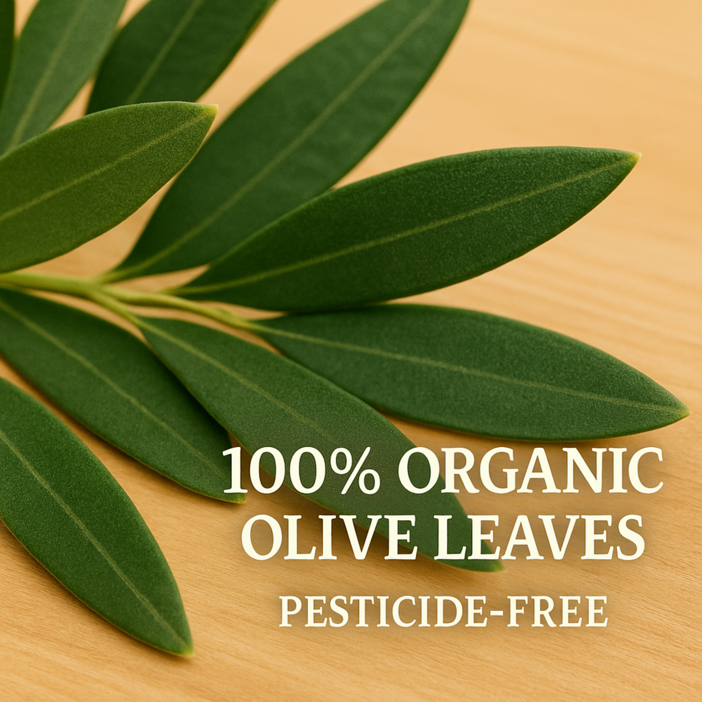 Olive Vitality® Organic Olive Leaf Powder (4.4 oz | 125 g)