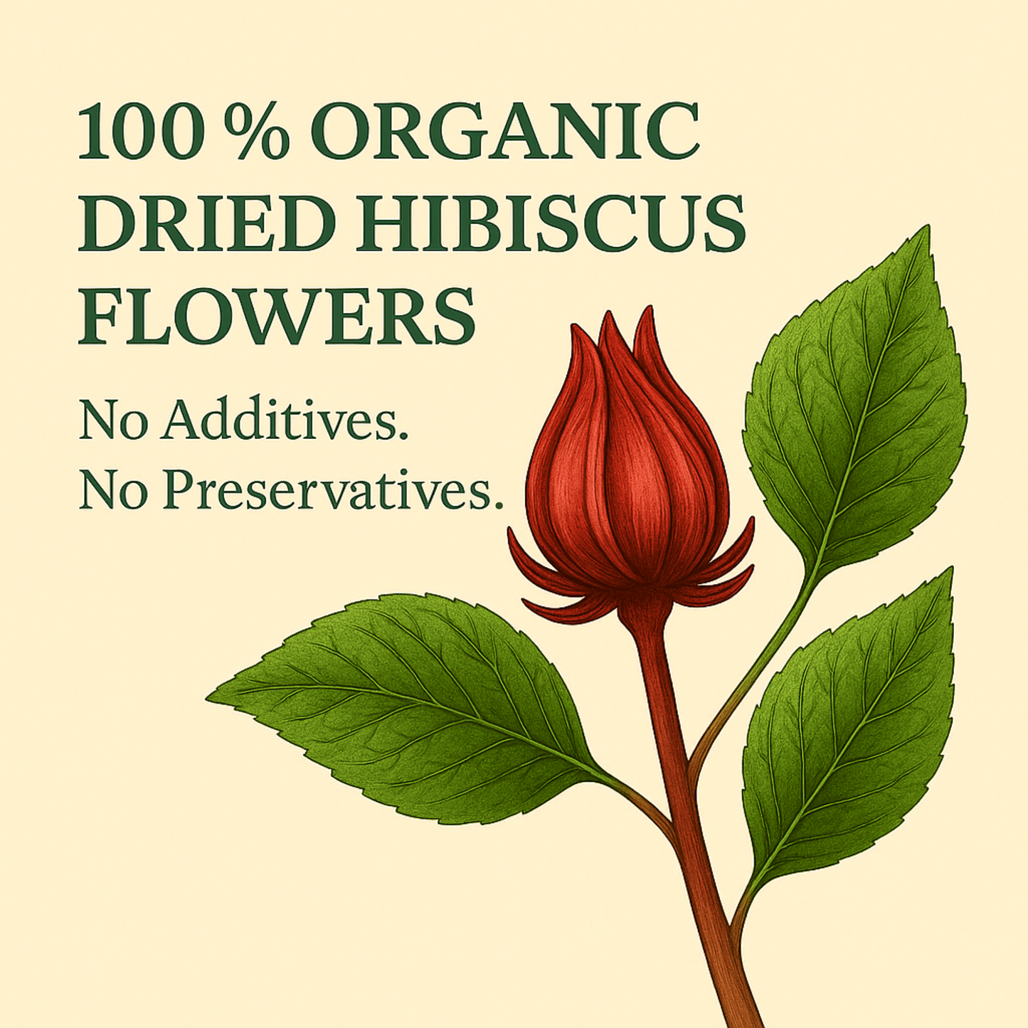 For Vitality® Organic Hibiscus Tea Bags (100 Count | 8 oz | 226g)